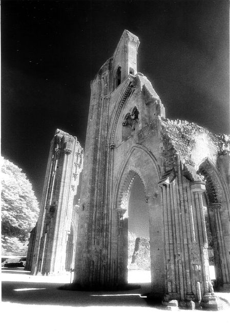 The Abbey ruins Glastonbury