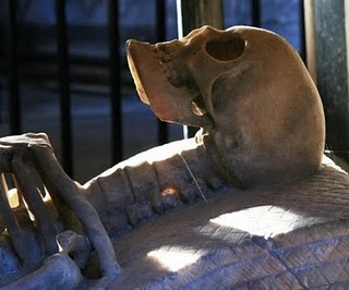Skeleton on tomb inside Burford Church.