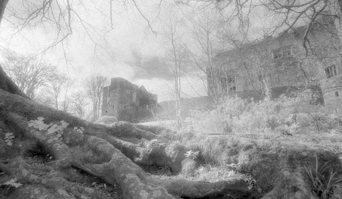 Berry Pomeroy Castle.