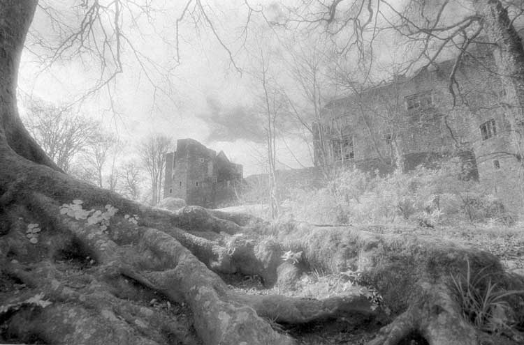 Berry Pomeroy Castle.