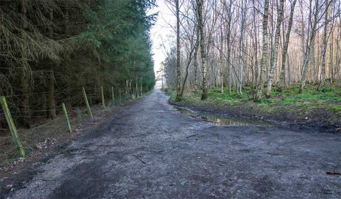 A dark Lane by night.