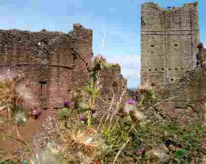 A tower of the ahunted Goodrich Castle.