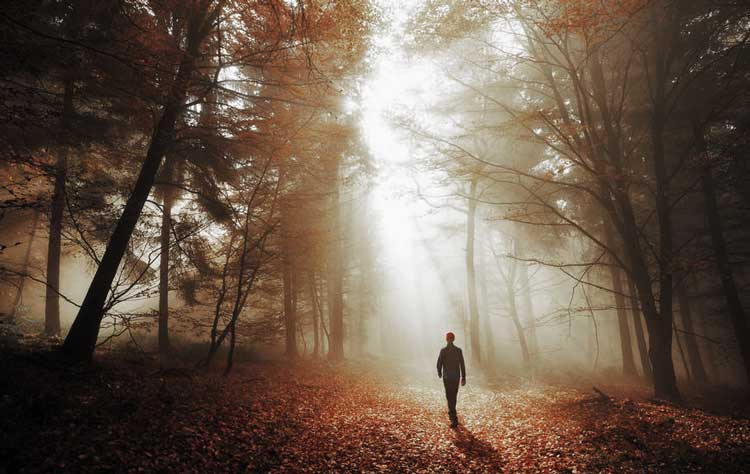 A figure walking in a dark wood.